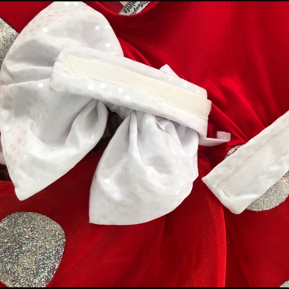 Disney Park Mini Mouse Costume - Picture 6 of 7